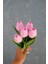 Pembe 5’li Lale Demet 1