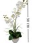 Ikili Beyaz Islak Orkide Anneler Gününe Özel Yapay Çiçek Beyaz Yakamoz Saksıda 50 Cm. 2
