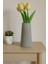 Beton Pampas Vazosu Çiçek Vazosu 19 cm 2