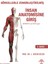 Görsellerle Zenginleştirilmiş İnsan Anatomisine Giriş Akademik Kitap SHMYO ve SYO Öğrencilerine Özel L. Bikem Süzen 4