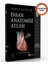 Netter İnsan Anatomisi Atlası 2