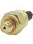 Petrol Yakıt Basınç Sensörü Gönderen Anahtarı 0421574 4213020 4215774 421-3020 421-5774 Deutz BF4M1013FC BF6M1013FC (Yurt Dışından) 3