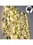32.8 Ft 100 LED Green Ivy Yaprakları Peri Dize Işıkları, 2 Paket Güneş Powered String Işıkları, Bahçe, Veranda, Yard, Parti (Yurt Dışından) 1