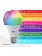 Akıllı Wifi LED Ampul Rgb Çok Renkli Tuya ve Smart Life Uygulama Destekli (9W 2700K-6500K Ayarlanabilir) 12