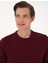 Erkek Bordo 3 Iplik Regular Fit Içi Polarlı Bisiklet Yaka Basic Sweatshirt 50315021-VR014 2