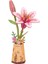 Minyatür Lilyum | Ahşap Lilyum Maketi | 3D Puzzle 7