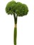Yapay Greentrick Çiçeği Demeti Yeşil 32 cm 1