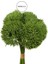Yapay Greentrick Çiçeği Demeti Yeşil 32 cm 2