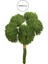 Yapay Greentrick Çiçeği Demeti Yeşil 32 cm 3
