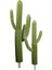 Yapay 2'li Texas Kaktüs 62 cm - 85 cm 1