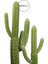Yapay 2'li Texas Kaktüs 62 cm - 85 cm 2