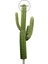 Yapay 2'li Texas Kaktüs 62 cm - 85 cm 4