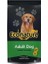 Econature Plus Kuzu Etli Yetişkin Köpek Maması 15 kg 1