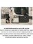 Spot Cleaner PR 8038 Buhar & Leke Temizleyici 8