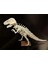 T-Rex Dinozor Maket 3D 5
