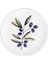 Olivos Pasta Tabağı 6lı Set 19 cm OVS0001 2