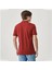 Erkek Bordo Polo Tişört 9