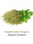 Kekik Oregano 6