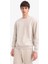 Boxy Fit Bisiklet Yaka Basic Düz Pike Taş Erkek Sweatshirt E1519AX/BG766 5