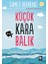 Küçük Kara Balık 1