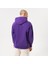 Los Angeles Lakers Fleece Pullover Essential Erkek Sweatshirt 2