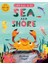 Curious Kids: Sea And Shore 1