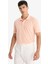 %100 Pamuk Regular Fit Polo Yaka Kısa Kollu Basic Düz Pike Kumaş Tişört C1293AX25SP 3