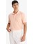 %100 Pamuk Regular Fit Polo Yaka Kısa Kollu Basic Düz Pike Kumaş Tişört C1293AX25SP 4