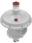 Erg-E Doğalgaz Regülatörü 11/4" 500-21 Mbar (Shut Off) 2