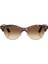 RB2341 143251 54 Unisex Güneş Gözlüğü 6
