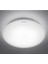 CL200 Entegre LED 17 W 4000 K Gün Işığı Tavan Lambası 2