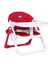 Chicco Chairy Yükseltici Mama Sandalyesi - Laydbug 1