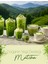 Premium Ceremonial Grade Japon Detox Matcha Çayı 100 gr 6