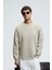 HAL Erkek Yuvarlak Yaka Önünde Ve Kollarında Süs Dikiş Detaylı Baskılı Regular Fit Taş Rengi Sweatsh 1