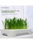 -Topraksız Suda Kedi Çimi Yetiştirme Kiti Versiyon 2 1