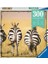 Puz Zebra 2