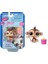 Sunman Littlest Pet Shop Tekli Figür Minişler S01000522-00522 1