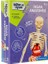 Clementoni Bilim ve Oyun - Insan Anatomisi CLE-64297 1