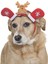 Küçük Orta ve Büyük Irk Köpekler Için Taç Reindeer 1