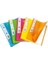 Noki Neon A4 Sunum Dosyası 40 Lı 64140N M.renkler 1