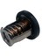 17670-94J01 Termostat 60 ℃ Suzuki Marine DF8A Için 9.9 15 20 25 30A Dıştan Takma Motorlar 17670-94J00 17670-94J02 Motor Parçaları (Yurt Dışından) 3