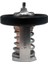 17670-94J01 Termostat 60 ℃ Suzuki Marine DF8A Için 9.9 15 20 25 30A Dıştan Takma Motorlar 17670-94J00 17670-94J02 Motor Parçaları (Yurt Dışından) 4
