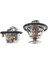 Adaptör Termostat 2pcs 97241129 97241130 Aksesuarlar Metal Parçalar Değiştirme Aracı Chevrolet Pickup 6.6l (Yurt Dışından) 1