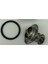 121850-49810 Motor Bölümü Yanmar Için Termostat 4TNE94 4TNE98 121850-49800 (Yurt Dışından) 4