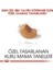 Royal Canin Shihtzu Puppy Yavru Köpek Maması 1.5 kg 5