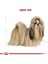Royal Canin Shihtzu Adult Yetişkin Köpek Maması 1.5 kg 5