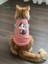 Şeker Pembe Renkli Kedi ve Köpek Kıyafeti Elbisesi Siyah Kedi Baskılı 4