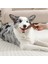 Chewood Small Twist Köpek Oyuncağı 4