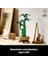 Botanicals Şans Bambusu 10344 - Yetişkin Kadın ve Erkekler Için Bambu Sapları, Çakıl Taşları ve Ahşap Efektli Saksı Içeren Dekoratif Bitki Seti, Ev ve Ofis Dekorasyonu Hediye Fikri (325 Parça) 2