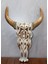 Ahşap Duvara Asmalı Bufalo Kafası 4
